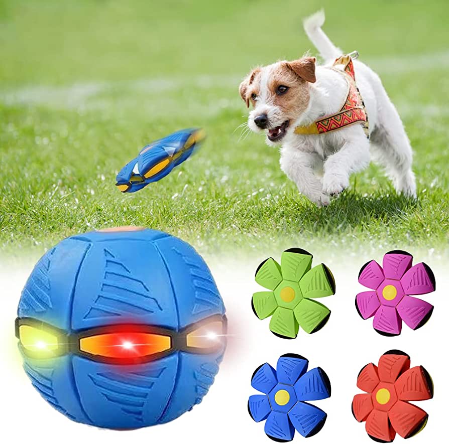 PetZaa™ Dog Frisbee