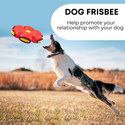 PetZaa™ Dog Frisbee