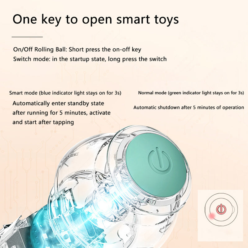 PetZaa Interactive Ball