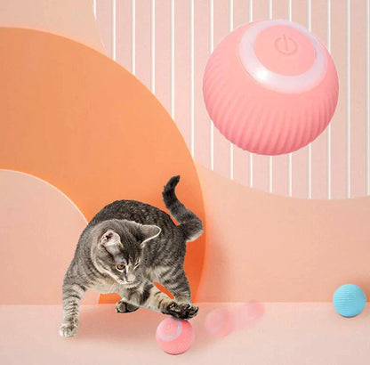 PetZaa Interactive Ball