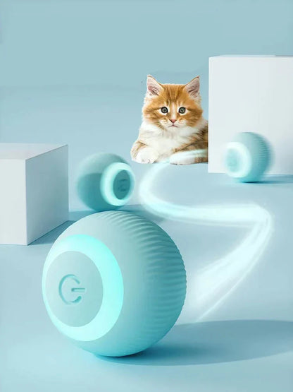 PetZaa Interactive Ball