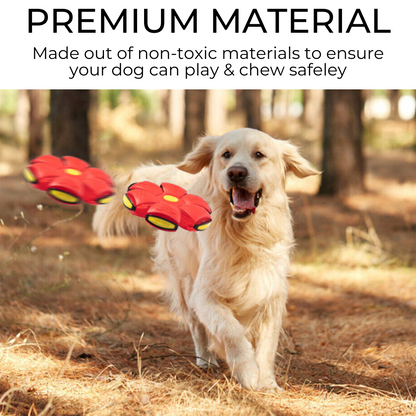 PetZaa™ Dog Frisbee