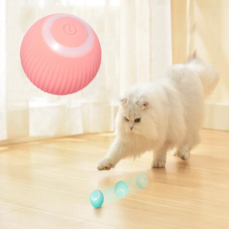 PetZaa Interactive Ball