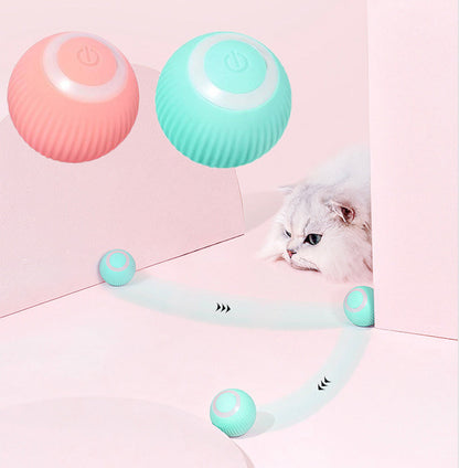 PetZaa Interactive Ball